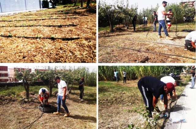 Grow Your Future: un orto al "Verga" di Vizzini, coi migranti del SAI “Vizzini appartamenti”